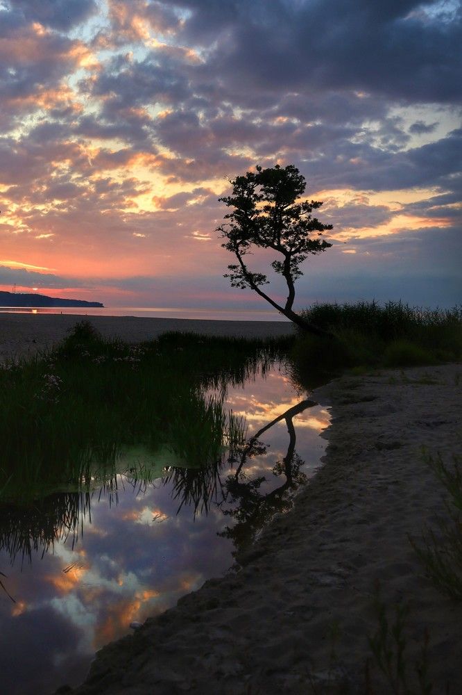 Photograph by Татьяна Максакова