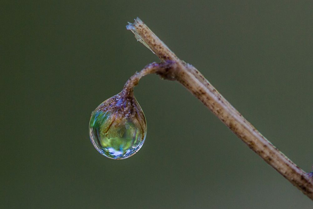 Фотография автора Andrey Pristyazhnyuk