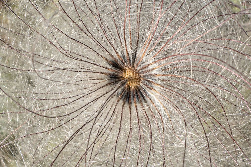 Photograph by Игорь Иванов