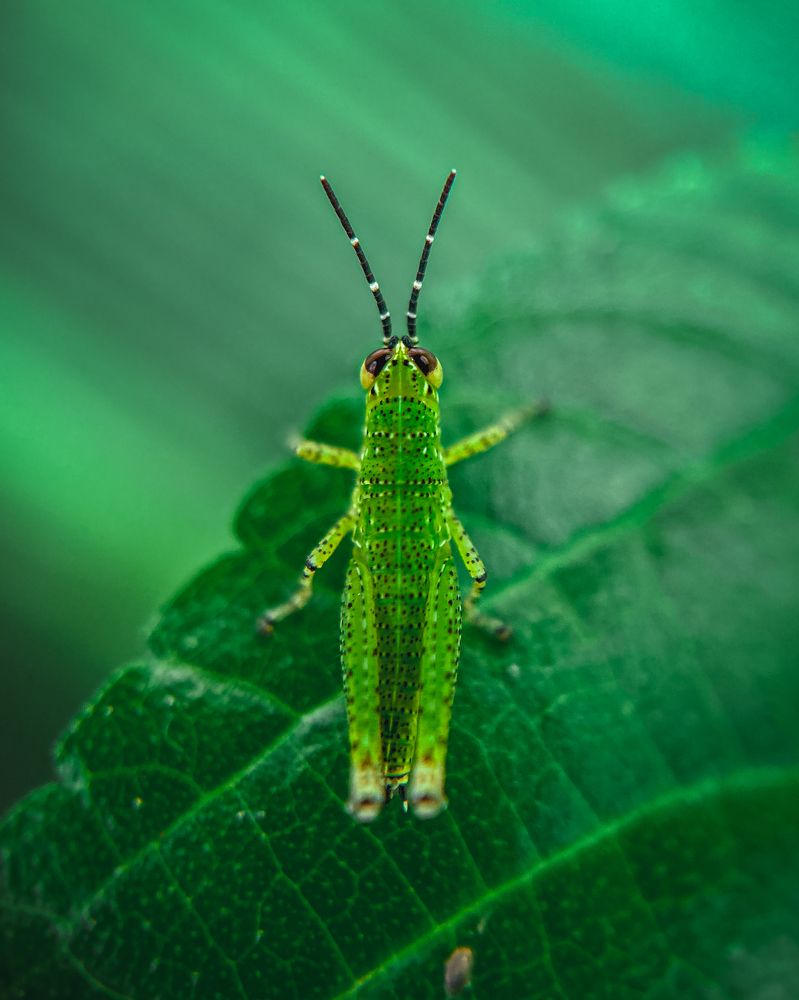 Photograph by Aaron R S