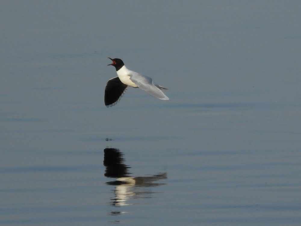 Photograph by Владимир Джерихов