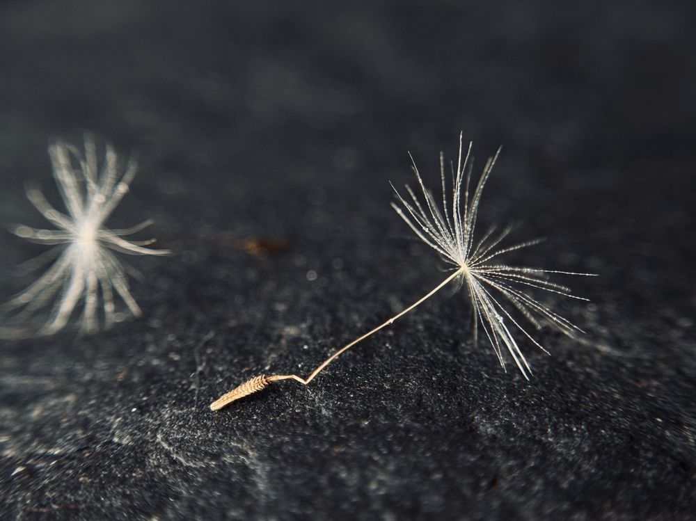 Фотография автора Александра Евченко