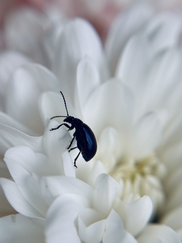 Фотография автора Александра Евченко