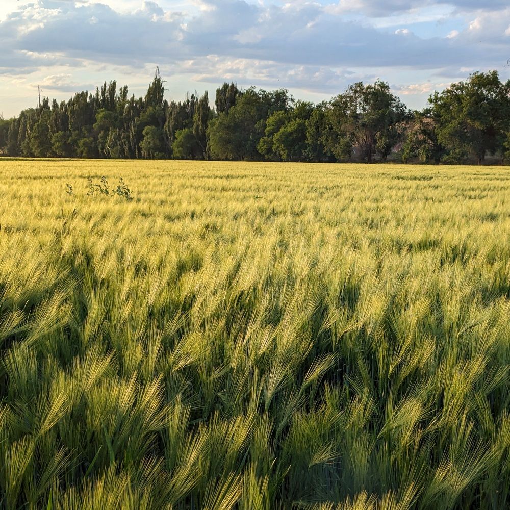 Photograph by Орынбек Асилбаев