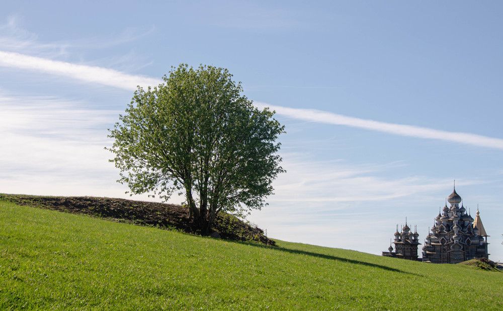 Фотография автора Мария Черница