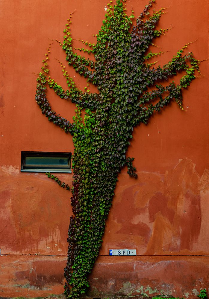 Photograph by Oleg Yashin