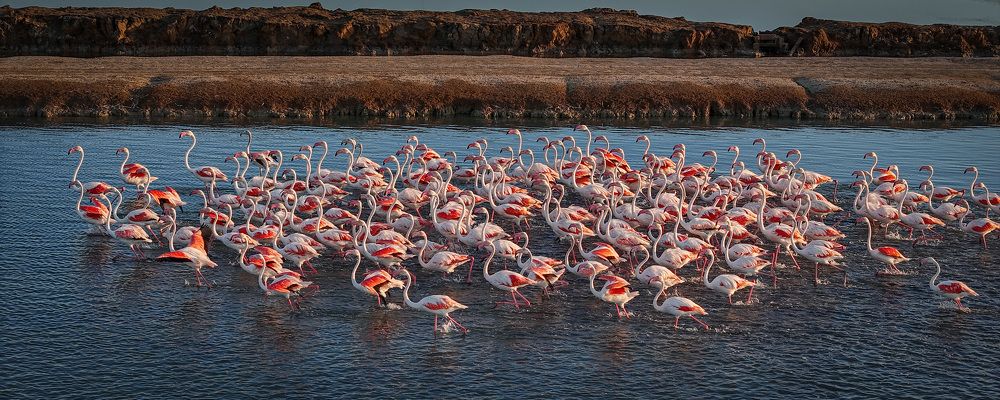 Photograph by José Antonio Gómez Mateo