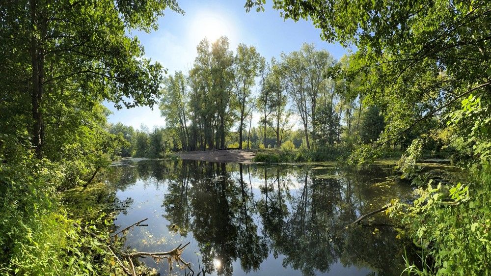 Photograph by Дмитрий Слепнёв