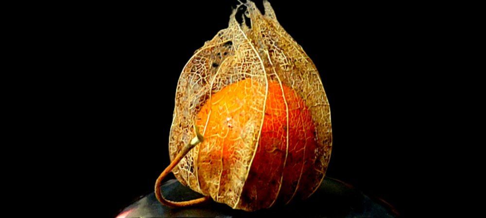 Photograph by GAUTAM GANGULY