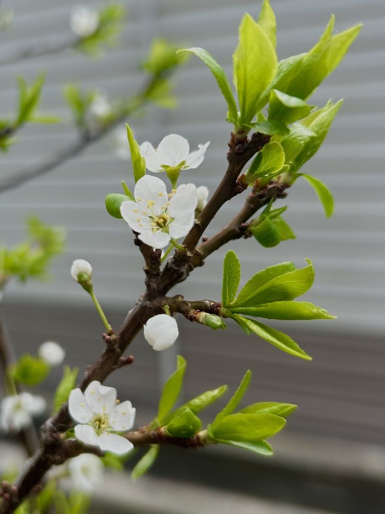 Photograph by Анна Киселева