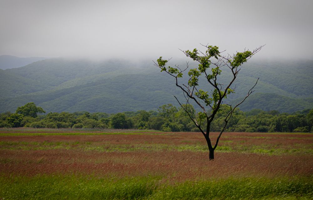 Фотография автора Ольга