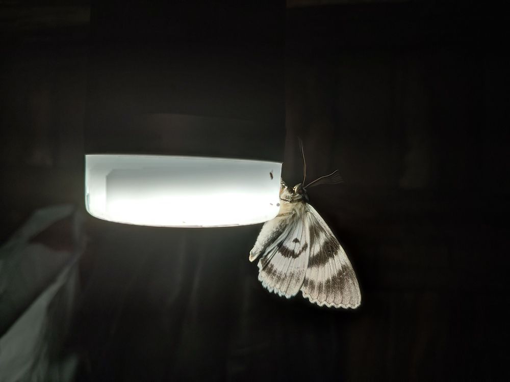 Photograph by Виктор