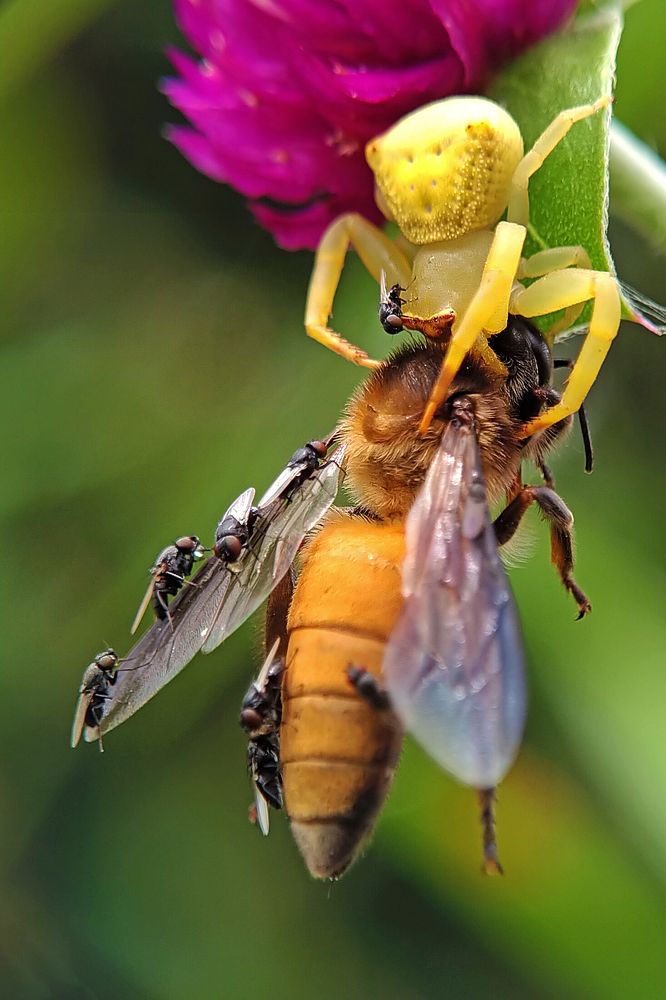 Photograph by AVISHEK MUKHERJEE