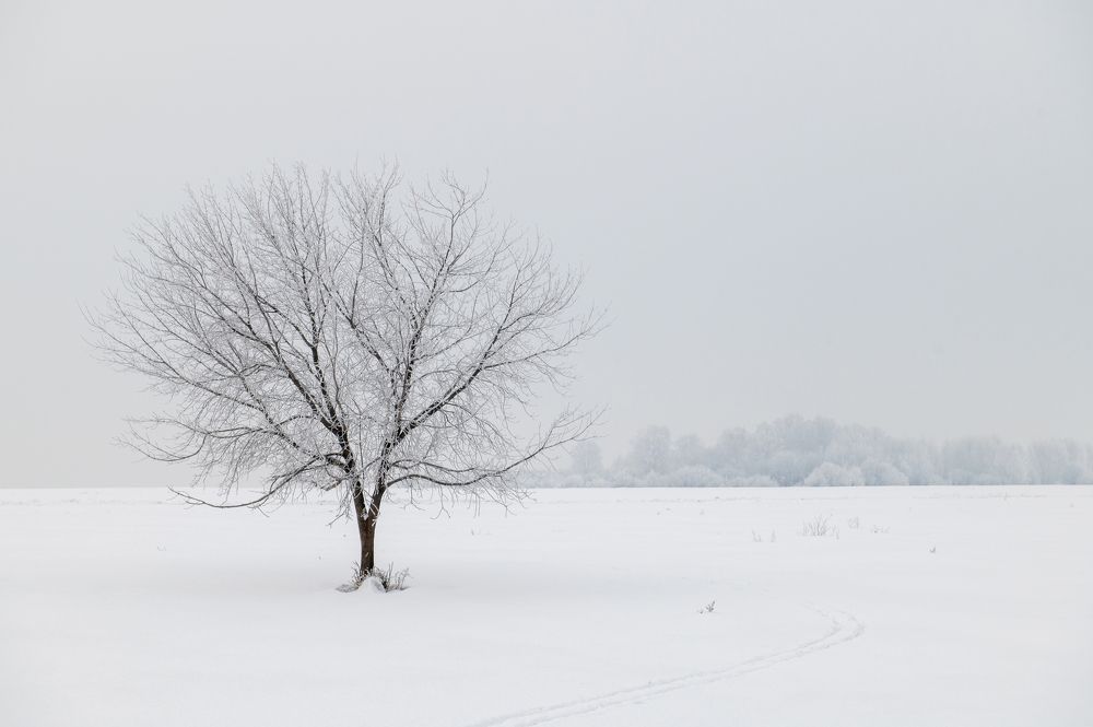 Photograph by Юрий Гау