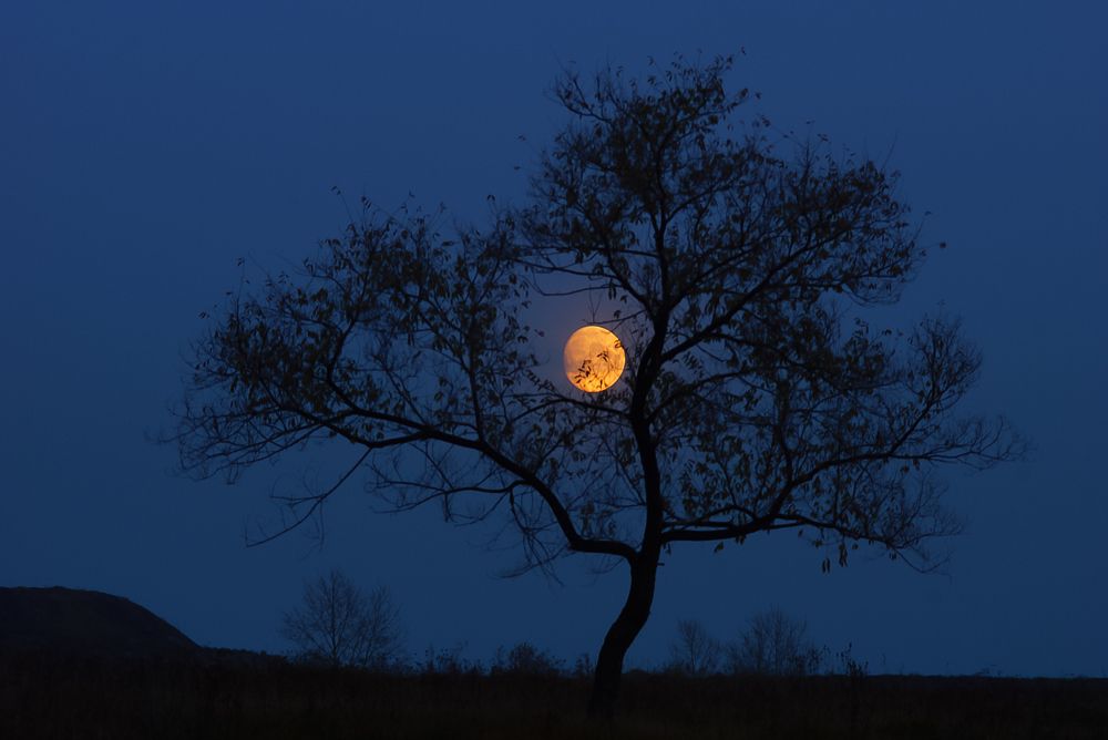 Photograph by Юрий Гау