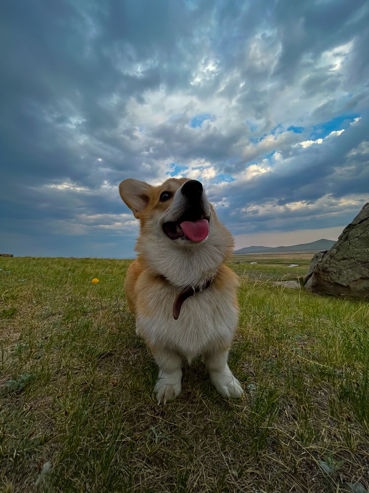 Photograph by Марина Мишутина