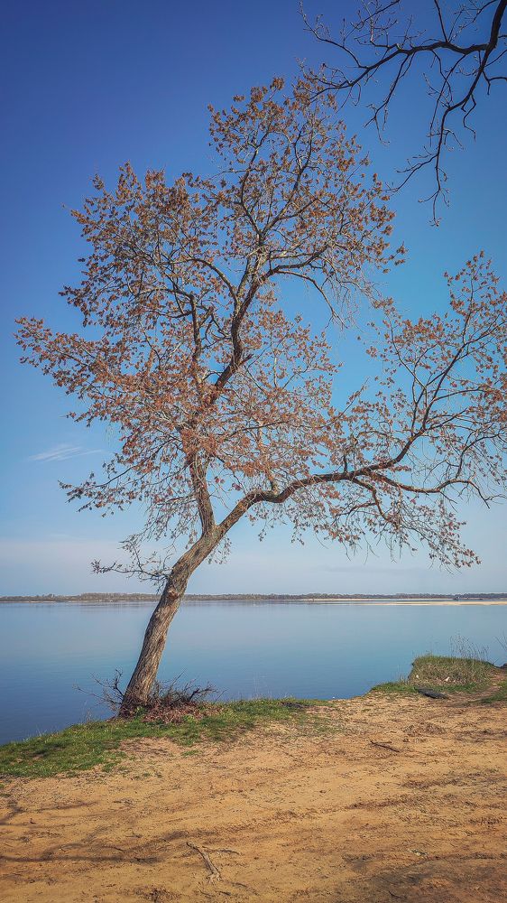 Фотография автора Анастасия Мамаева