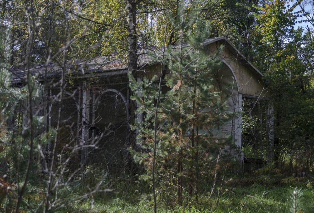 Photograph by Василий Либко