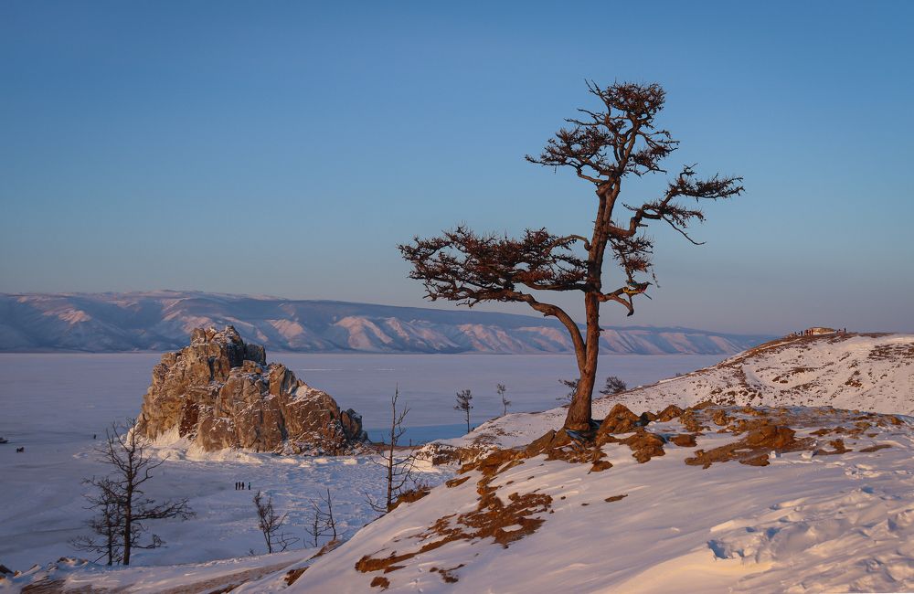 Фотография автора Ольга