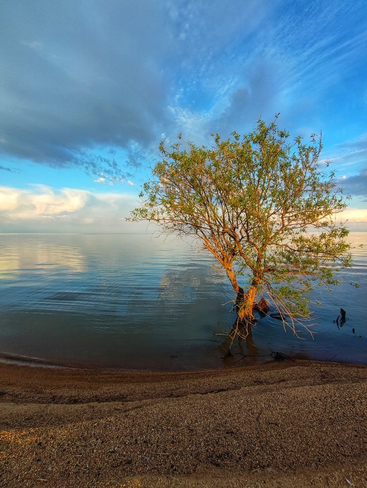 Photograph by Валентина Куцерук