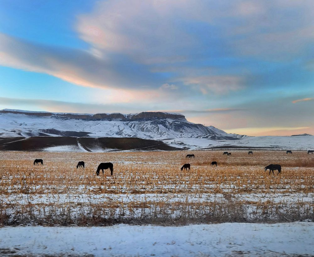 Photograph by Inna Ivanova