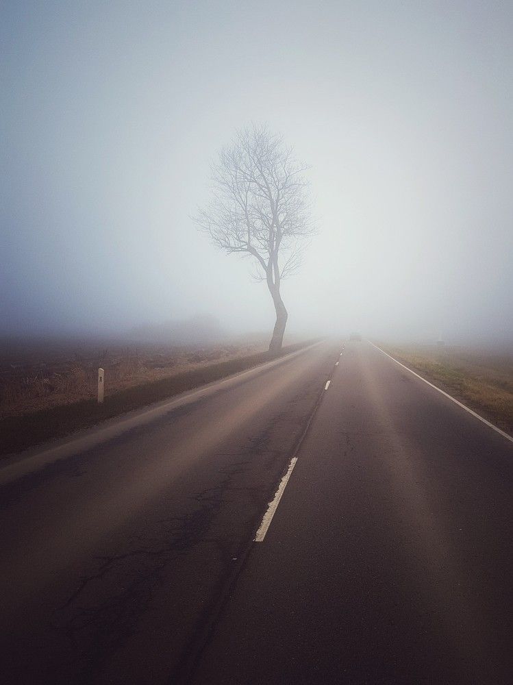 Photograph by Татьяна Максакова