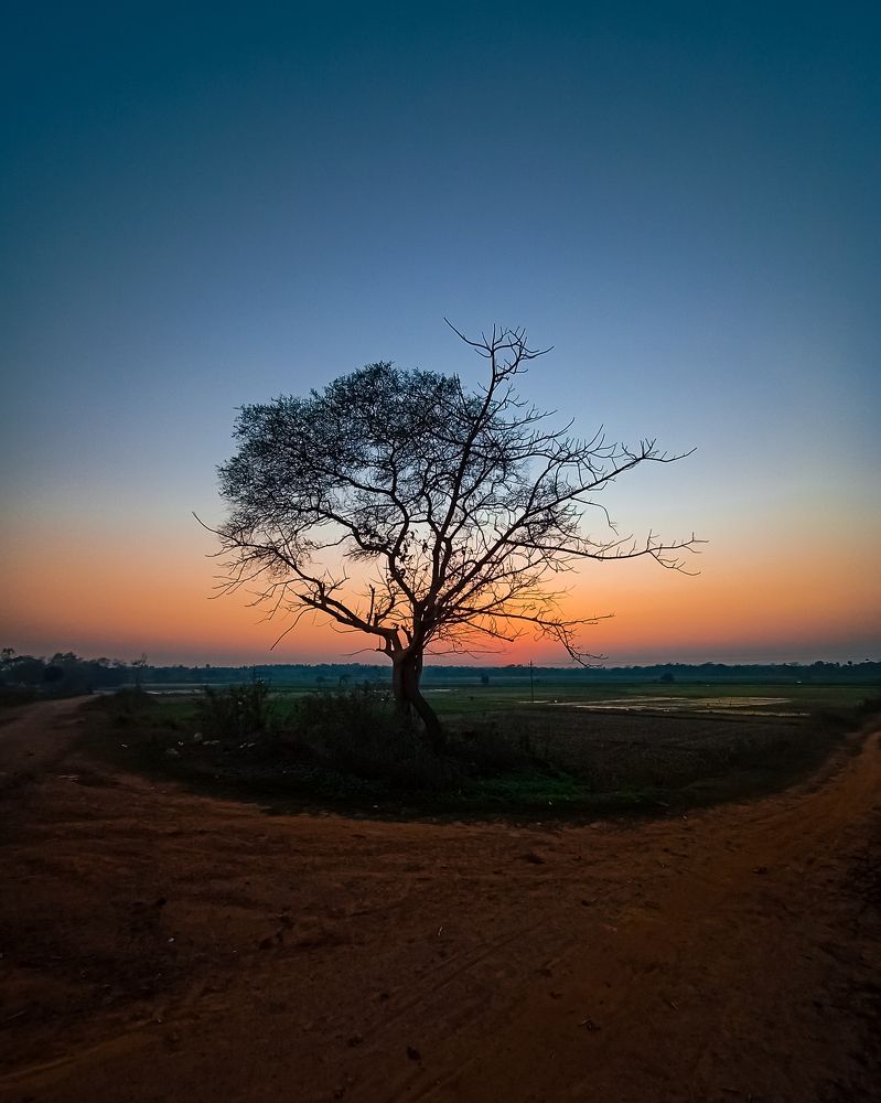 Фотография автора Sourav Dutta