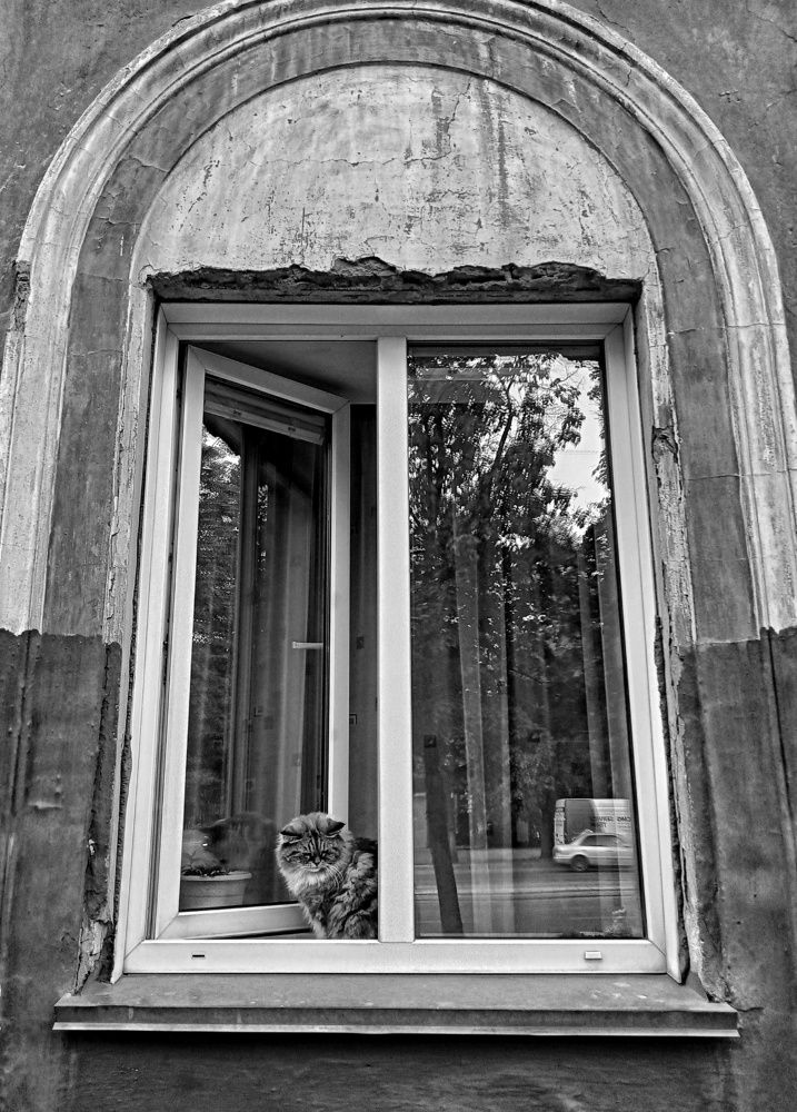 Фотография автора Демьян Стрельцов