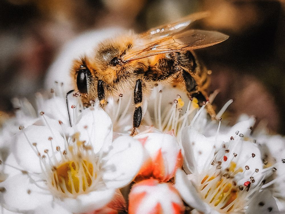Мир который рядом с нами
