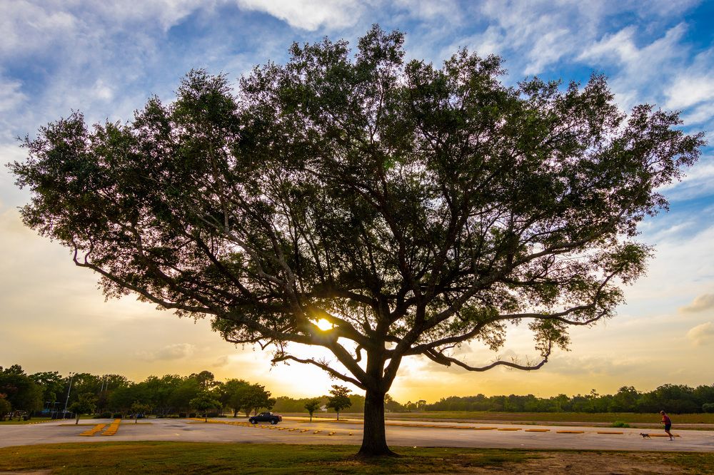 Photograph by Анатолий Костерев