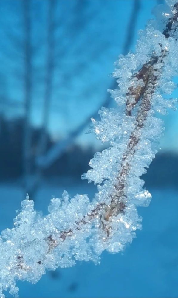 Photograph by Светлана Цапина