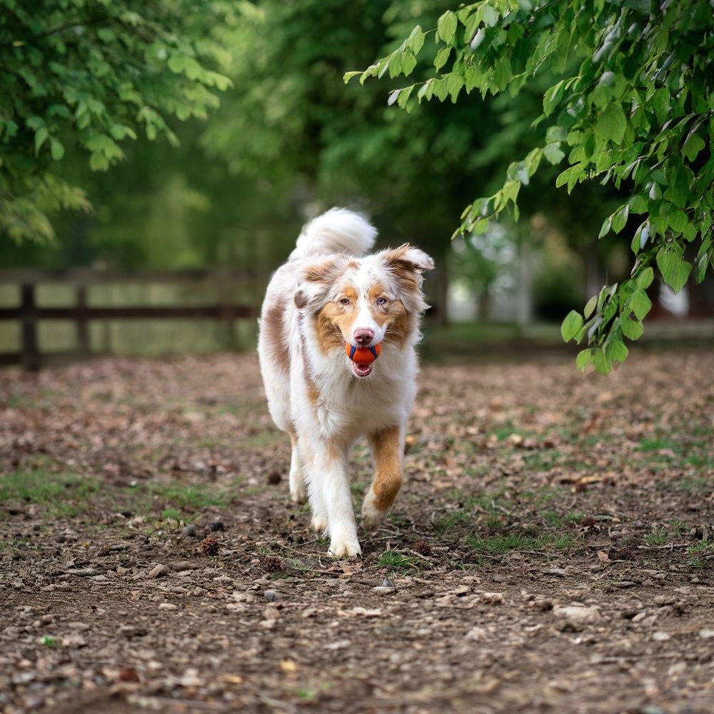 Photograph by Claudia Rios