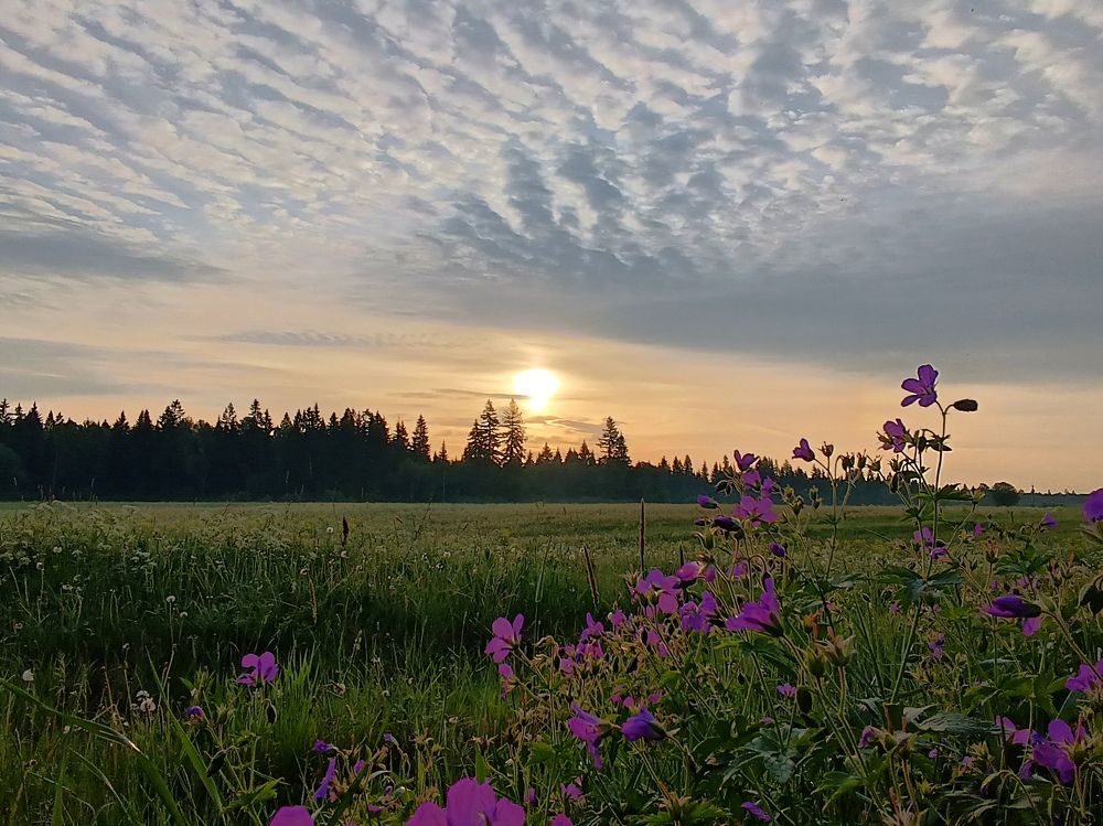 Photograph by Olga Kot