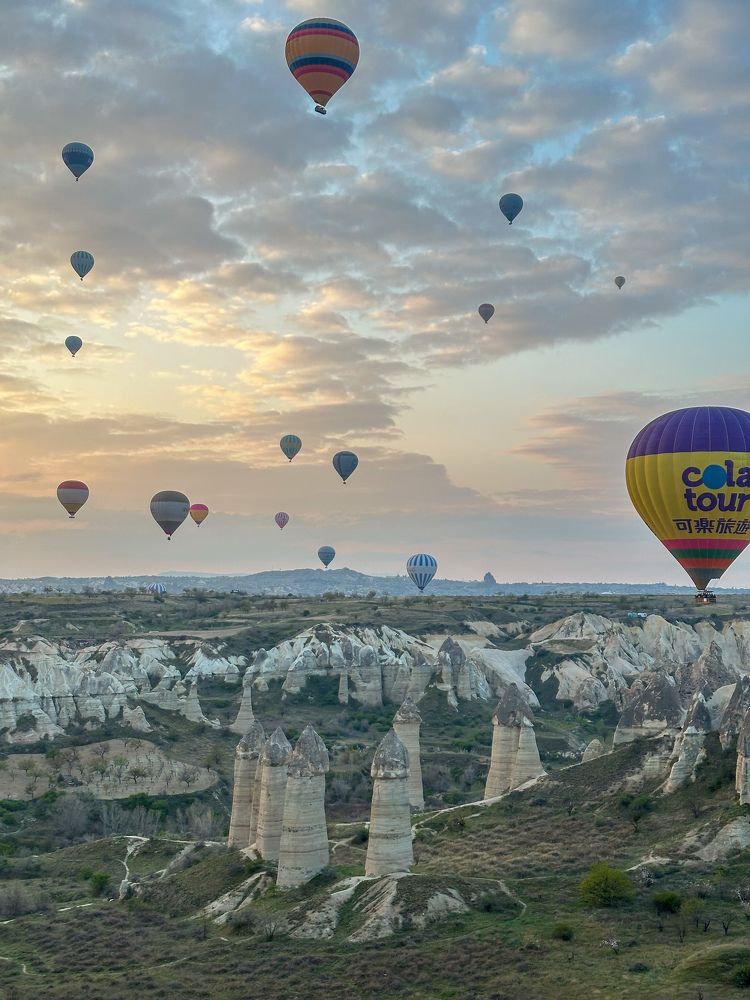 Photograph by Dee Aneeta