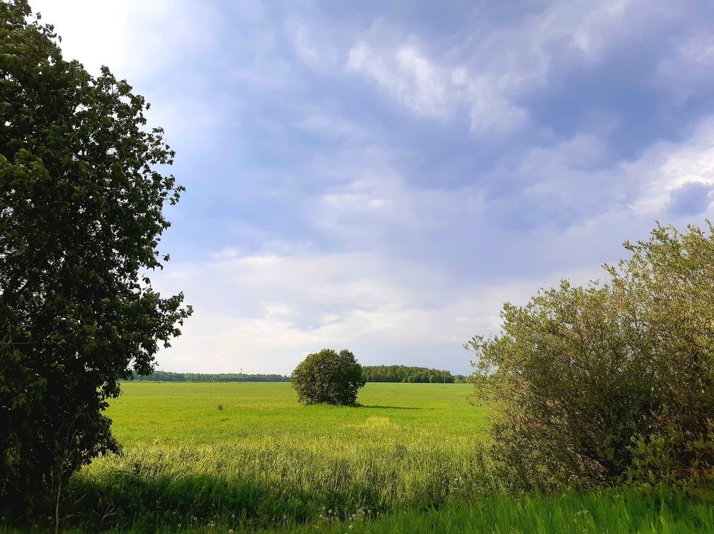 Photograph by Екатерина