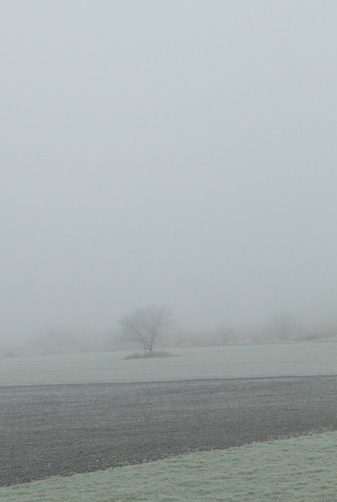 Photograph by Александр Макаренко