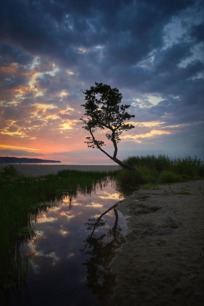 Photograph by Татьяна Максакова