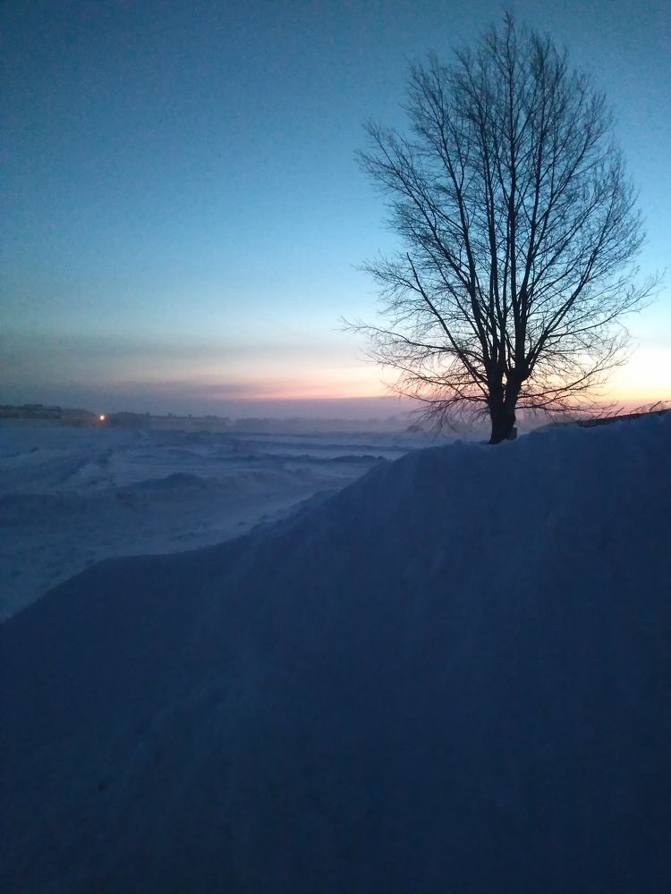 Photograph by СТЕПАН ДЖУЛАКИДЗЕ