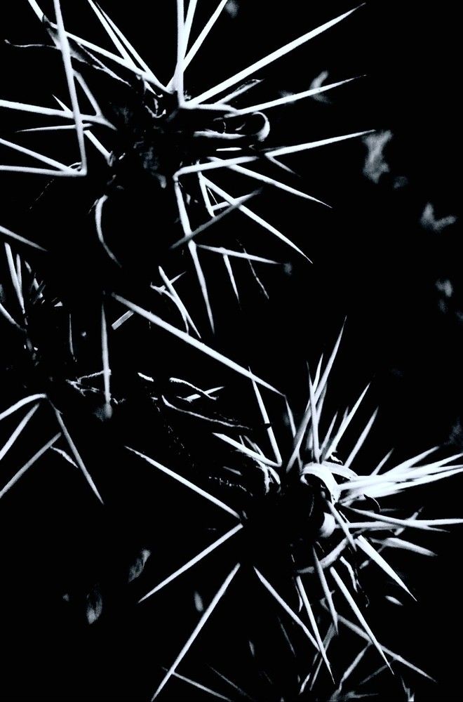 Photograph by HAMID R. ABADEH