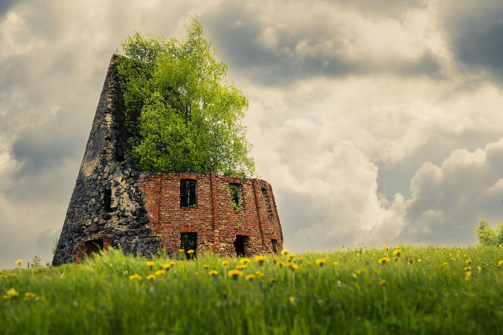 Photograph by Silvija Danelsone