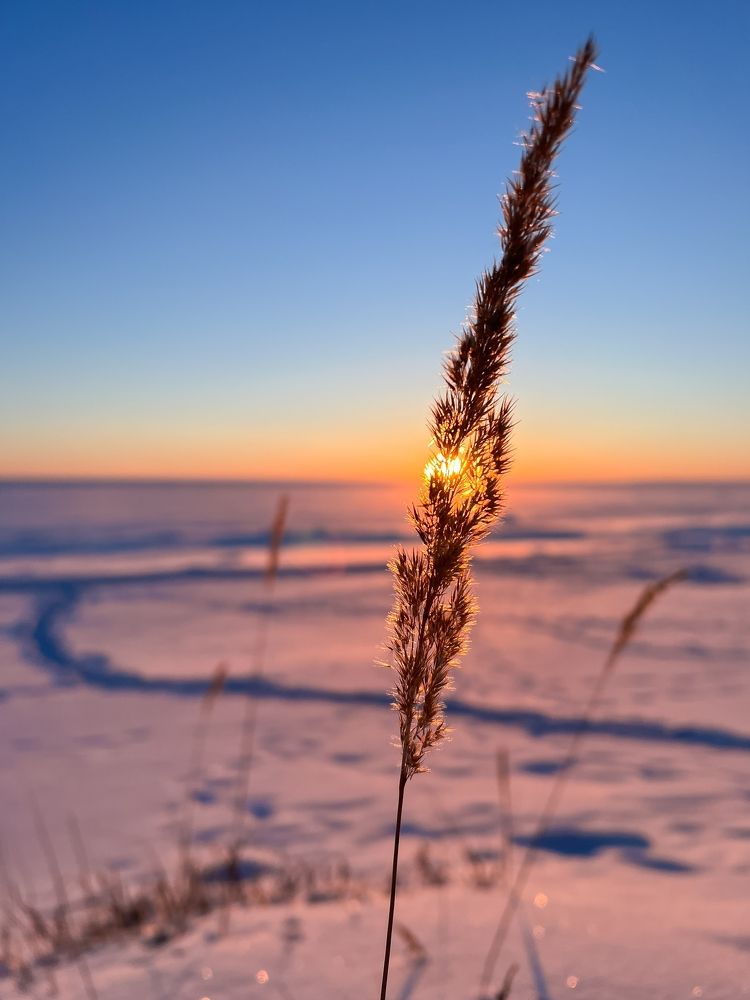 Photograph by Margarita Malkova