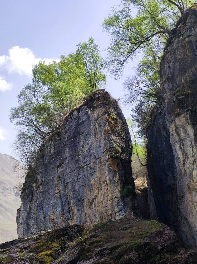 Photograph by Надежда Батракова