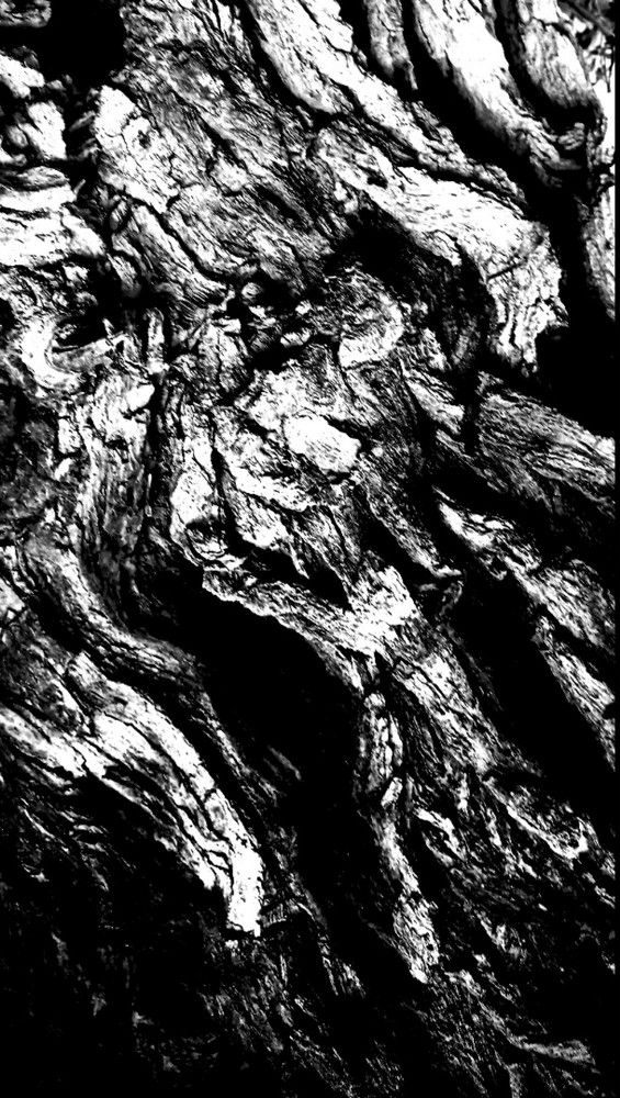 Photograph by HAMID R. ABADEH