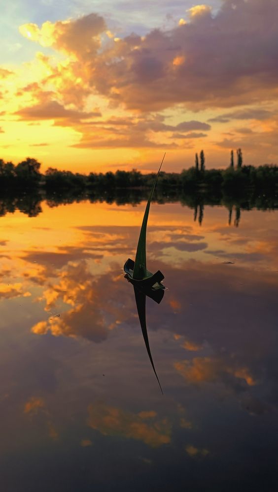 Родом из детства