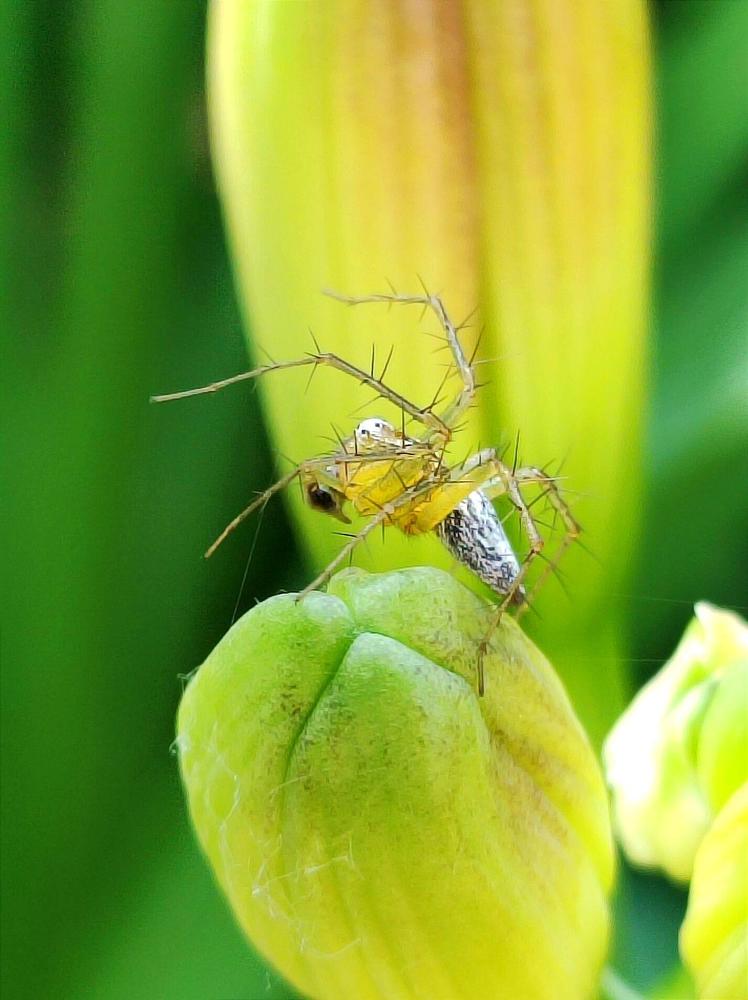 Photograph by Надежда Батракова