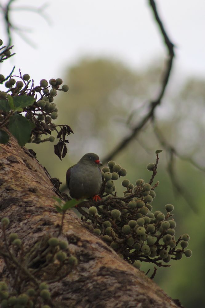 Photograph by Sasha Elske