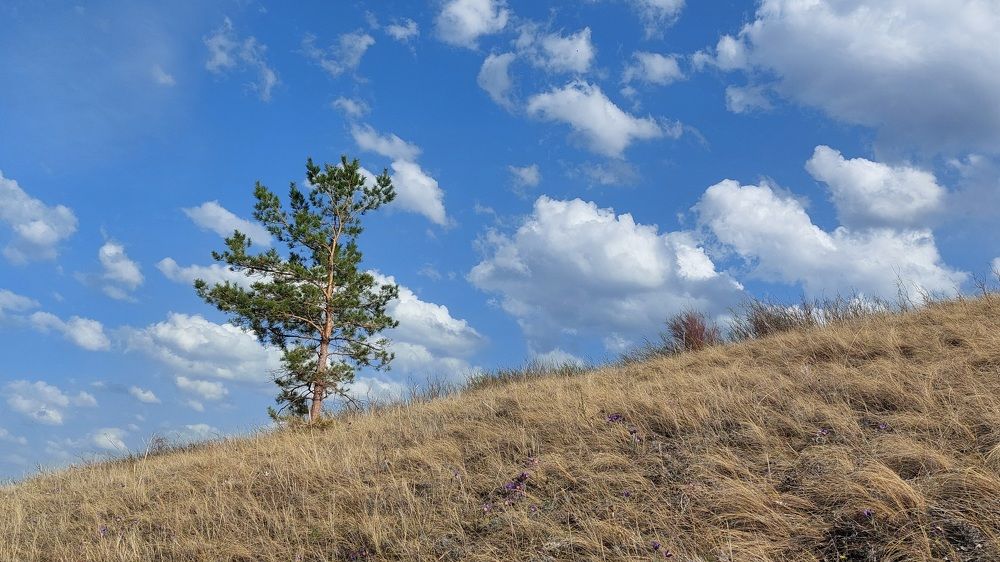 Photograph by Наталья Дубовкина