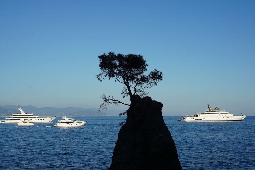 Photograph by Игорь Семеновский