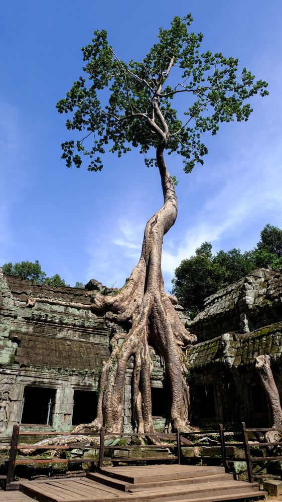 Photograph by Nguyen Hai Duong