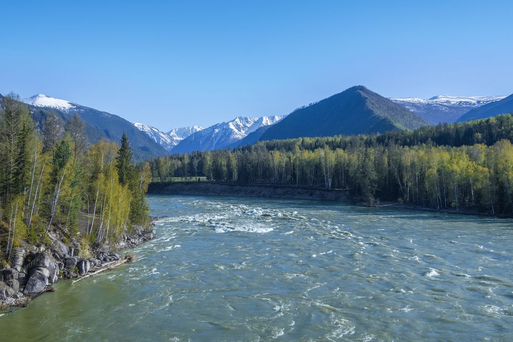 Катунь и Белуха